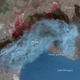 Illustration for article titled Nicaraguas Momotombo Volcano Is Glorious In False Color Satellite Imagery